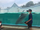 しながわ水族館に投稿された画像（2022/8/20）