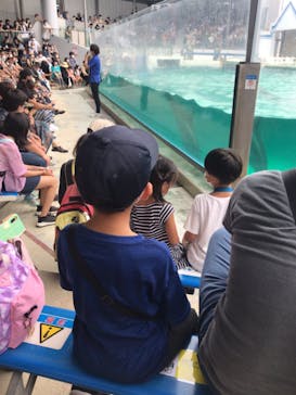 しながわ水族館に投稿された画像（2022/8/20）