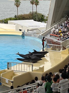マリンワールド海の中道に投稿された画像（2022/8/20）
