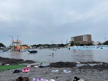 蓮沼ウォーターガーデンに投稿された画像（2022/8/20）