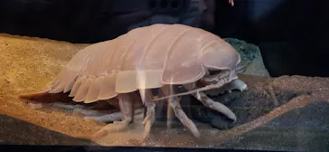 名古屋港水族館に投稿された画像（2022/8/20）