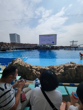 名古屋港水族館に投稿された画像（2022/8/20）