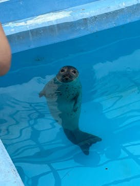 東武動物公園に投稿された画像（2022/8/20）