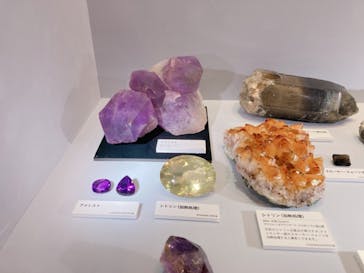 特別展「宝石　地球がうみだすキセキ」（名古屋市科学館　理工館地下２階イベントホール）に投稿された画像（2022/8/20）