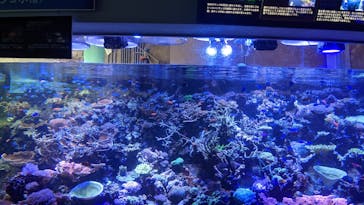 名古屋港水族館に投稿された画像（2022/8/20）