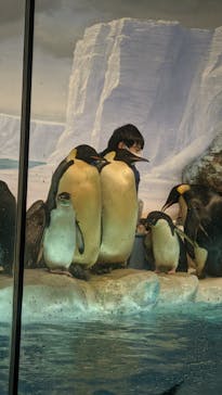 名古屋港水族館に投稿された画像（2022/8/20）