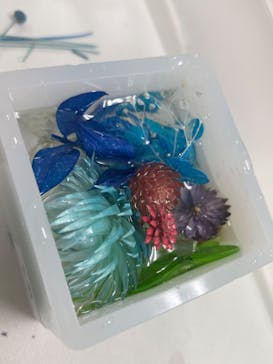 ずこうしつ〜sugamo〜に投稿された画像（2022/8/20）