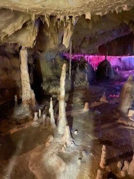 あぶくま洞に投稿された画像（2022/8/20）