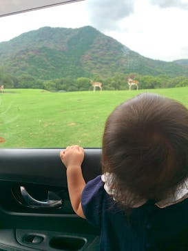 姫路セントラルパークに投稿された画像（2022/8/20）