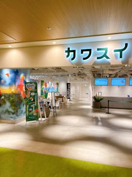 カワスイ 川崎⽔族館に投稿された画像（2022/8/20）