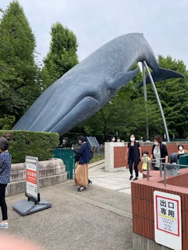 国立科学博物館に投稿された画像（2022/8/20）