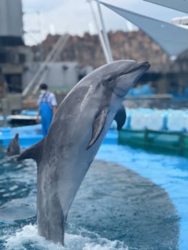 名古屋港水族館に投稿された画像（2022/8/20）