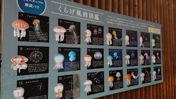 京都水族館に投稿された画像（2022/8/20）
