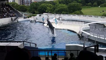 京都水族館に投稿された画像（2022/8/20）