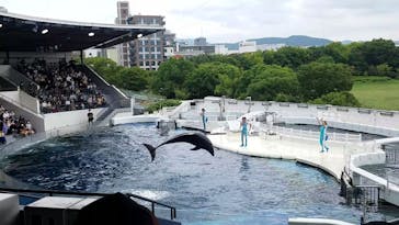 京都水族館に投稿された画像（2022/8/20）