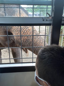 那須サファリパークに投稿された画像（2022/8/20）