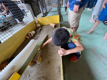 那須サファリパークに投稿された画像（2022/8/20）