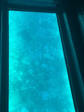 川平マリンサービスに投稿された画像（2022/8/20）