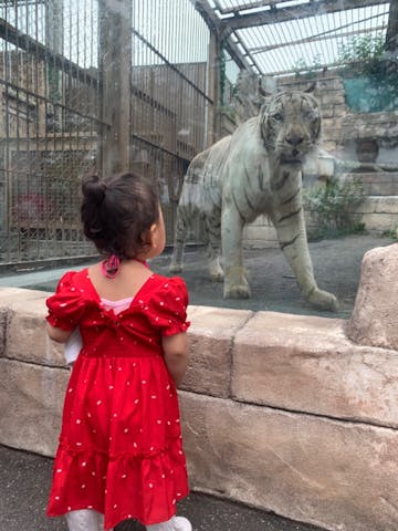 2歳の子どもを連れて始めて行き ぱせり さまの口コミ アソビュー