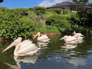 伊豆シャボテン動物公園に投稿された画像（2022/8/20）