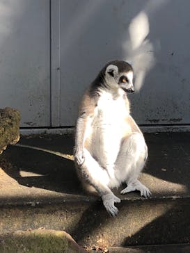 伊豆シャボテン動物公園に投稿された画像（2022/8/20）