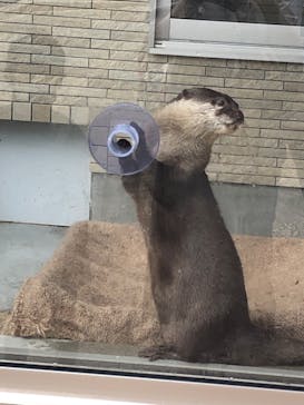下田海中水族館に投稿された画像（2022/8/20）