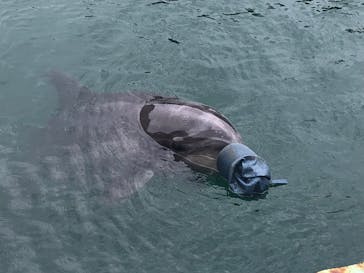 下田海中水族館に投稿された画像（2022/8/20）