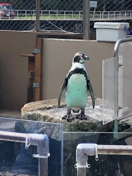 下田海中水族館に投稿された画像（2022/8/20）