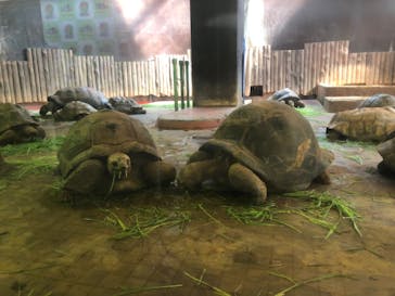 体感型動物園iZooに投稿された画像（2022/8/20）