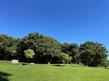 世界の名犬牧場に投稿された画像（2022/8/20）