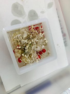 ずこうしつ〜sugamo〜に投稿された画像（2022/8/20）