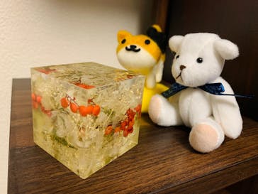 ずこうしつ〜sugamo〜に投稿された画像（2022/8/20）