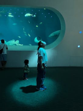 大分マリーンパレス水族館 「うみたまご」に投稿された画像（2022/8/20）