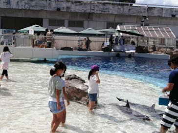 大分マリーンパレス水族館 「うみたまご」に投稿された画像（2022/8/20）