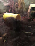 天王寺動物園に投稿された画像（2022/8/20）
