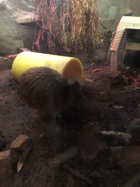 天王寺動物園に投稿された画像（2022/8/20）