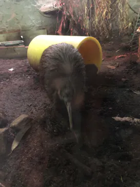 天王寺動物園に投稿された画像（2022/8/20）