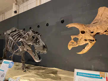 ひらかたパークに投稿された画像（2022/8/20）