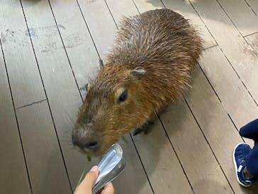 カワスイ 川崎⽔族館に投稿された画像（2022/8/20）