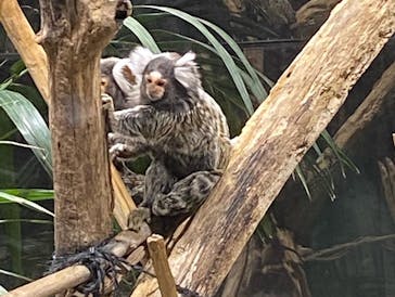 カワスイ 川崎⽔族館に投稿された画像（2022/8/20）