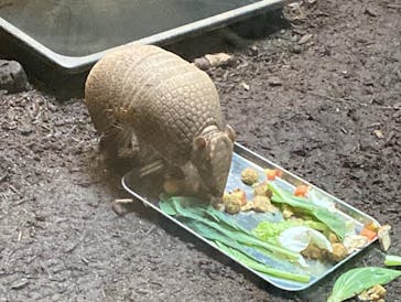 カワスイ 川崎⽔族館に投稿された画像（2022/8/20）