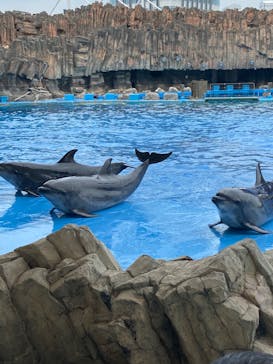 名古屋港水族館に投稿された画像（2022/8/20）
