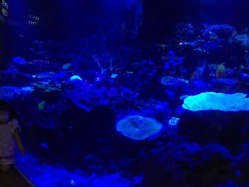 名古屋港水族館に投稿された画像（2022/8/20）