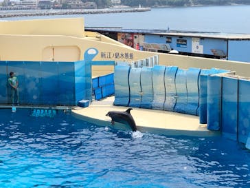 新江ノ島水族館に投稿された画像（2022/8/20）