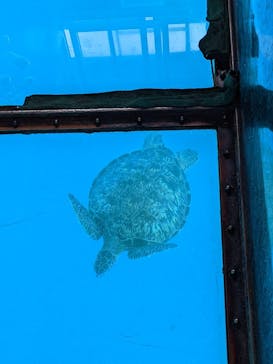 川平マリンサービスに投稿された画像（2022/8/20）