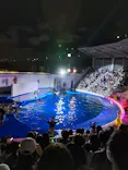 仙台うみの杜水族館に投稿された画像（2022/8/20）