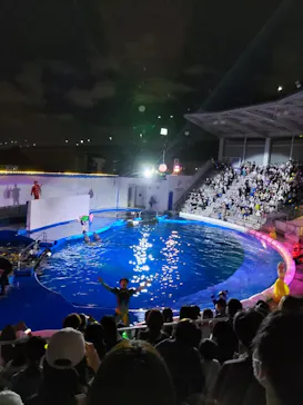 仙台うみの杜水族館に投稿された画像（2022/8/20）