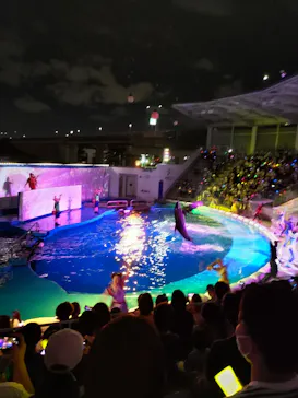 仙台うみの杜水族館に投稿された画像（2022/8/20）