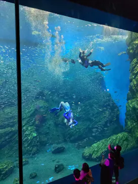 仙台うみの杜水族館に投稿された画像（2022/8/20）