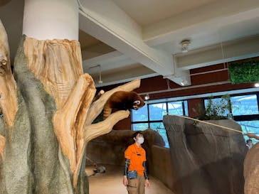 ネオパークオキナワに投稿された画像（2022/8/20）